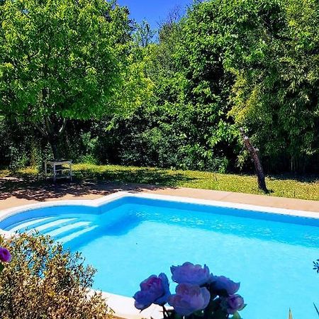 Studio Dans La Villa Les Cigales Lézignan-Corbières Eksteriør billede